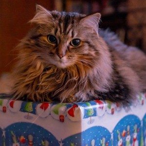Taking the Tacky Out of Christmas Gift-Giving