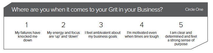 How Much Grit Does it Take rating scale